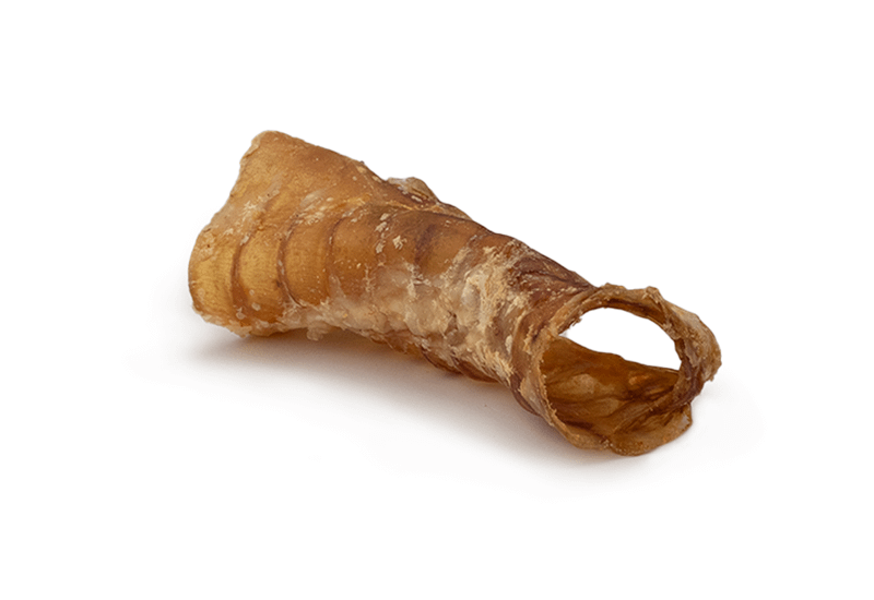 Trachea di Bovino