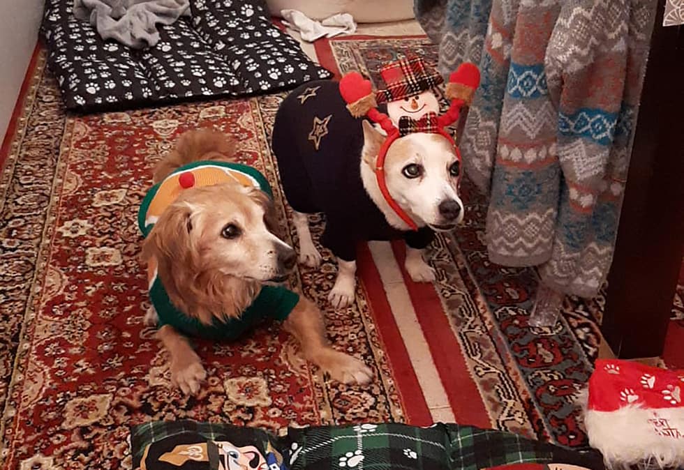 Wishing to all of you a Wonderful Xmas❤️❤️❤️